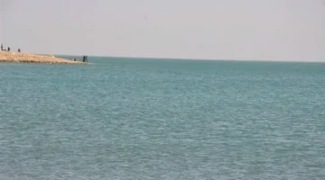 زيادة غير مسبوقة.. فتح مفيض توشكى للسيطرة على ارتفاع منسوب مياه النيل في نوفمبر 2025